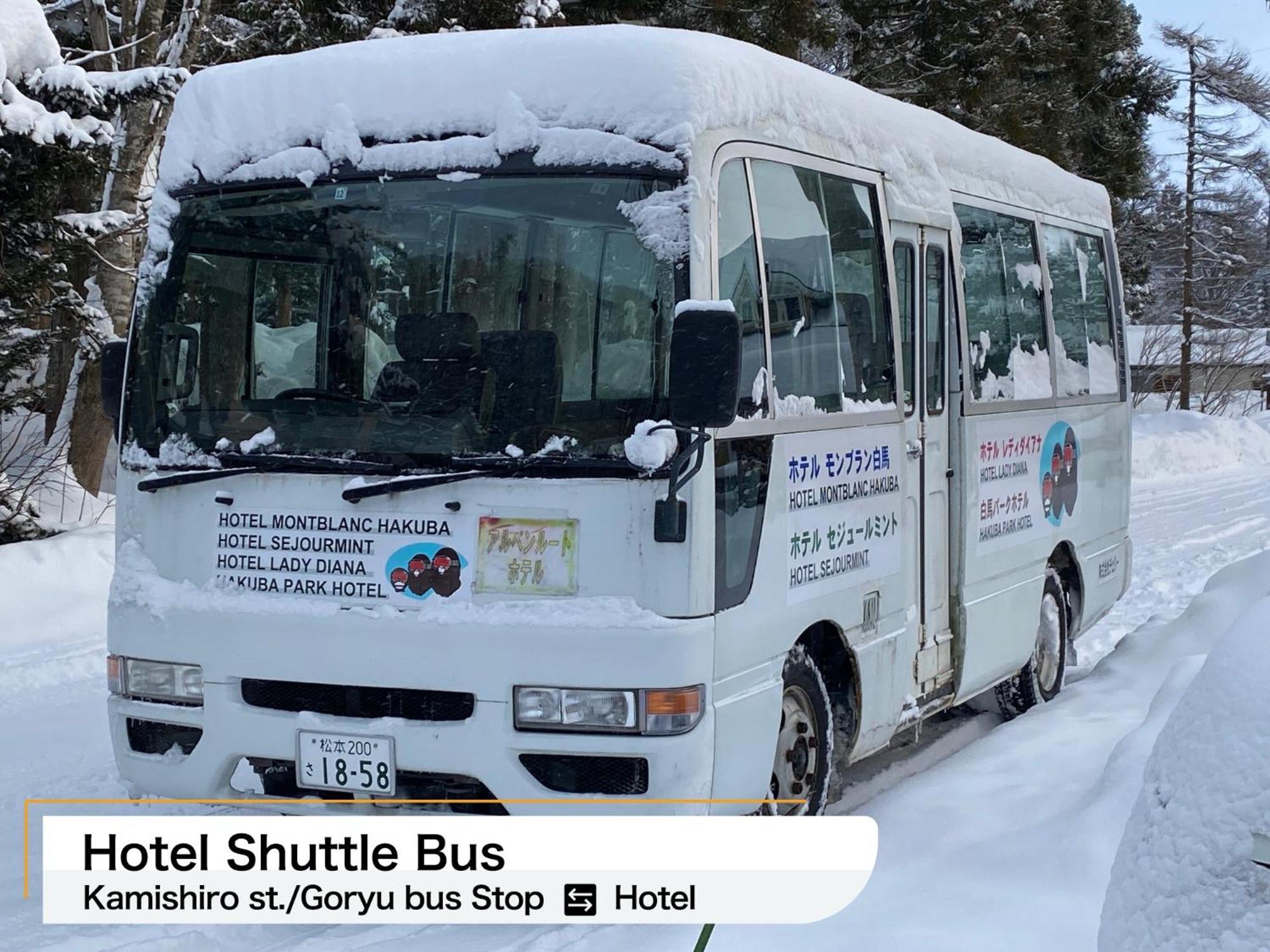 Hakuba Park Hotel Exterior photo
