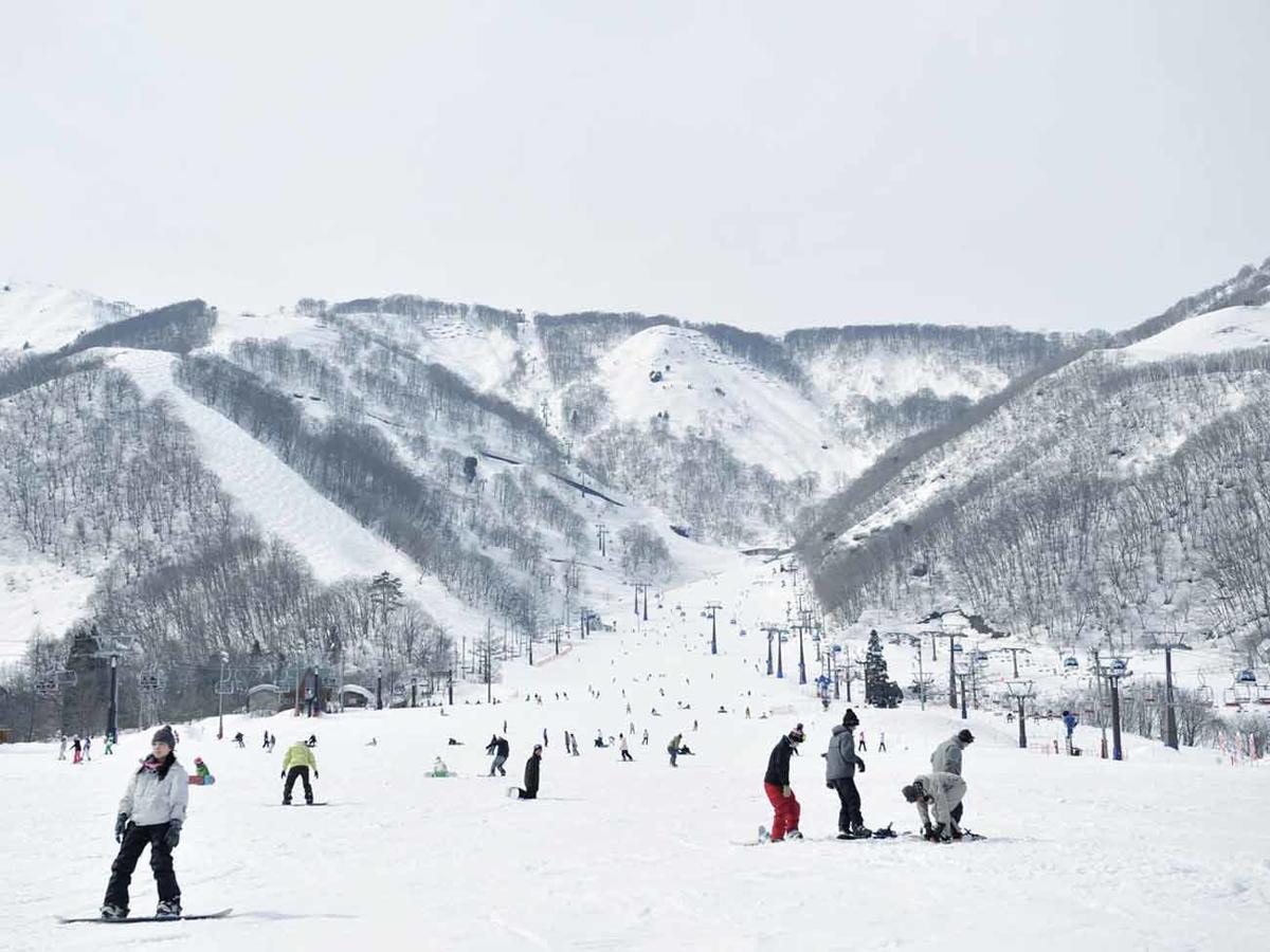 Hakuba Park Hotel Exterior photo